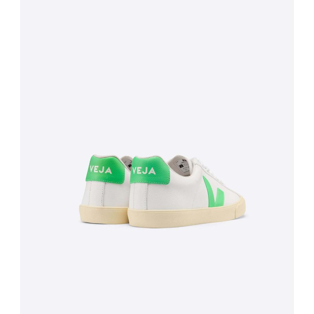 Αθλητικά Παπούτσια ανδρικα Veja ESPLAR CHROMEFREE BUTTER-SOLE ασπρα | GR 301BEX